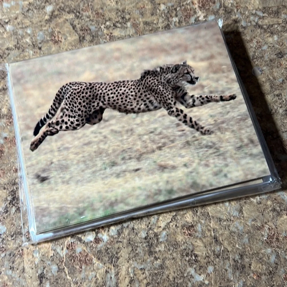 Cheetah Note Cards Set of Ten